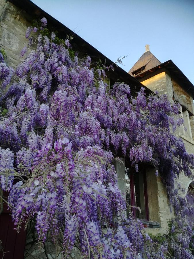 Chateau St.Gaultier Saint-Gaultier Экстерьер фото