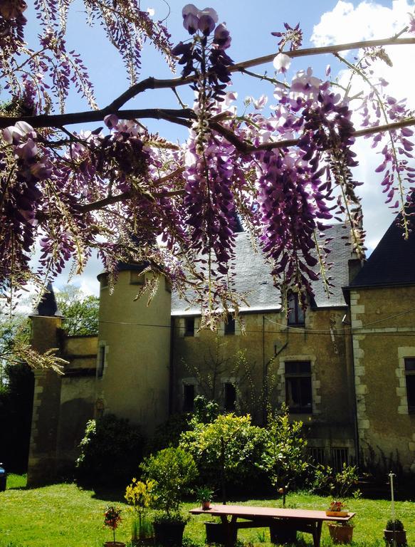 Chateau St.Gaultier Saint-Gaultier Экстерьер фото